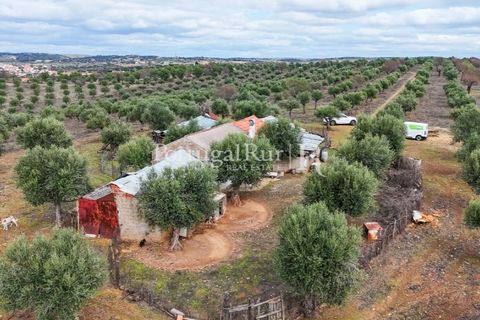 Landejendom i Alandroal, Evora, Alandroal - € 425.000 | Ref: FG53 - foto 12