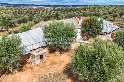 Landejendom i Alandroal, Evora, Alandroal - € 425.000 | Ref: FG53 - foto 13