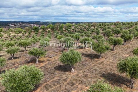 Landejendom i Alandroal, Evora, Alandroal - € 425.000 | Ref: FG53 - foto 14