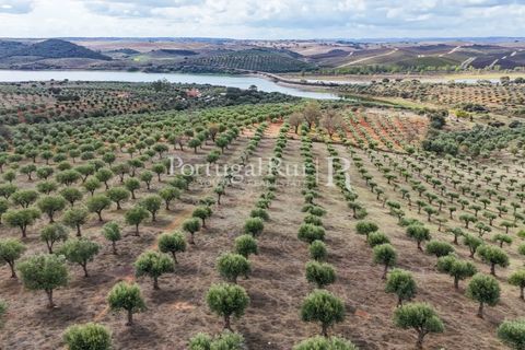 Landejendom i Alandroal, Evora, Alandroal - € 425.000 | Ref: FG53 - foto 16