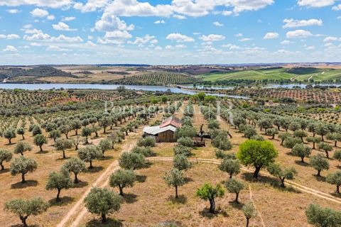 Landejendom i Alandroal, Evora, Alandroal - € 425.000 | Ref: FG53 - foto 1