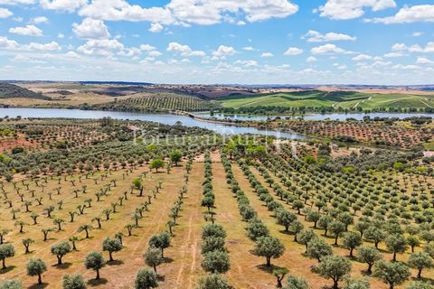 Landejendom i Alandroal, Evora, Alandroal - € 425.000 | Ref: FG53 - foto 2