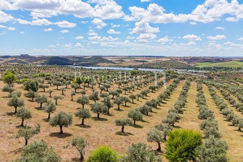 Landejendom i Alandroal, Evora, Alandroal - € 425.000 | Ref: FG53 - foto 3