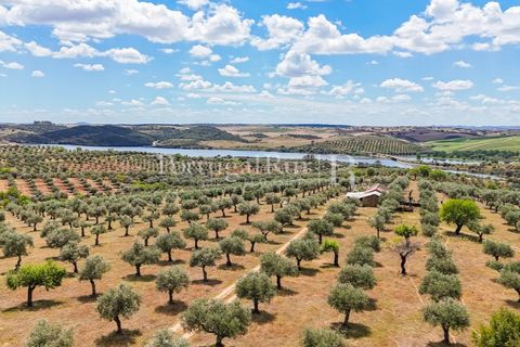 Landejendom i Alandroal, Evora, Alandroal - € 425.000 | Ref: FG53 - foto 4