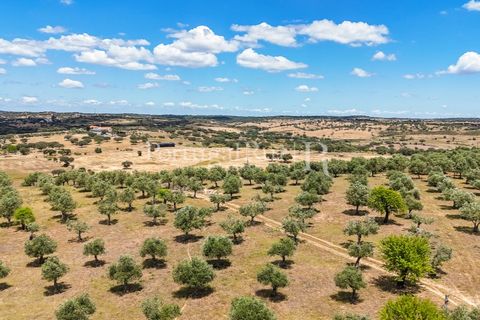 Landejendom i Alandroal, Evora, Alandroal - € 425.000 | Ref: FG53 - foto 5