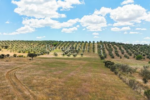 Landejendom i Alandroal, Evora, Alandroal - € 425.000 | Ref: FG53 - foto 17