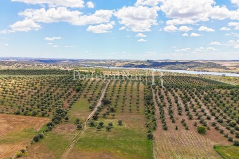 Landejendom i Alandroal, Evora, Alandroal - € 425.000 | Ref: FG53 - foto 18