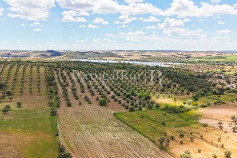 Landejendom i Alandroal, Evora, Alandroal - € 425.000 | Ref: FG53 - foto 19