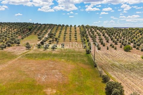 Landejendom i Alandroal, Evora, Alandroal - € 425.000 | Ref: FG53 - foto 20