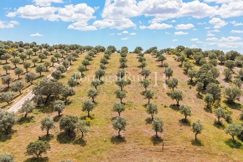 Landejendom i Alandroal, Evora, Alandroal - € 425.000 | Ref: FG53 - foto 21