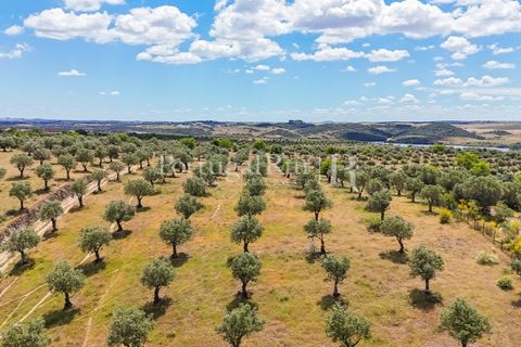 Landejendom i Alandroal, Evora, Alandroal - € 425.000 | Ref: FG53 - foto 22