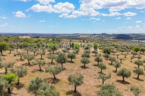 Landejendom i Alandroal, Evora, Alandroal - € 425.000 | Ref: FG53 - foto 23
