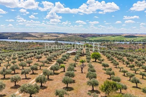 Landejendom i Alandroal, Evora, Alandroal - € 425.000 | Ref: FG53 - foto 24
