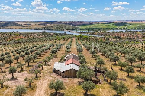 Landejendom i Alandroal, Evora, Alandroal - € 425.000 | Ref: FG53 - foto 25