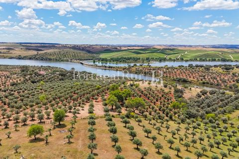 Landejendom i Alandroal, Evora, Alandroal - € 425.000 | Ref: FG53 - foto 26
