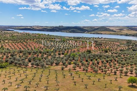 Landejendom i Alandroal, Evora, Alandroal - € 425.000 | Ref: FG53 - foto 27