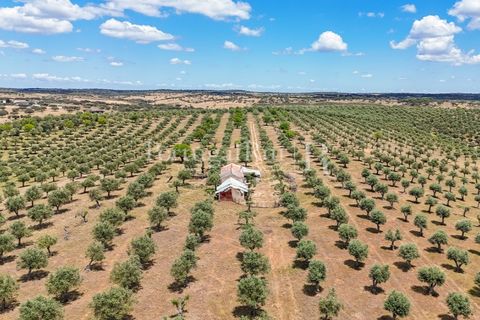 Landejendom i Alandroal, Evora, Alandroal - € 425.000 | Ref: FG53 - foto 28