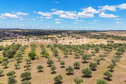 Landejendom i Alandroal, Evora, Alandroal - € 425.000 | Ref: FG53 - foto 29