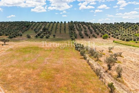 Landejendom i Alandroal, Evora, Alandroal - € 425.000 | Ref: FG53 - foto 30