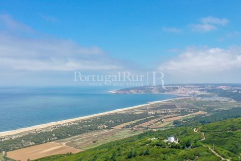 Villa i Nazare, Leiria, Nazare - € 1.100.000 | Ref: TG3271 - foto 31