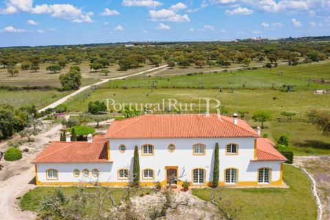 Farm i Mora, Evora, Mora - € 1.190.000 | Ref: 668-2 - foto 6