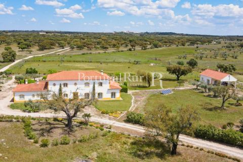 Farm i Mora, Evora, Mora - € 1.190.000 | Ref: 668-2 - foto 3
