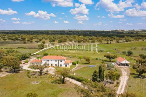 Farm i Mora, Evora, Mora - € 1.190.000 | Ref: 668-2 - foto 4