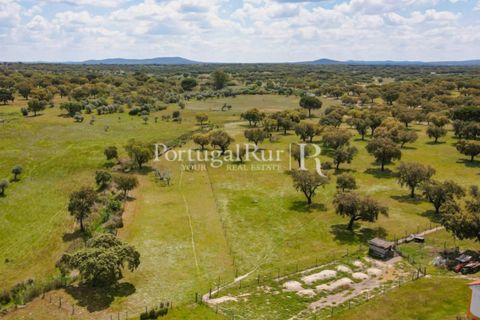 Farm i Mora, Evora, Mora - € 1.190.000 | Ref: 668-2 - foto 5