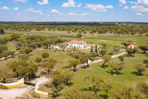 Farm i Mora, Evora, Mora - € 1.190.000 | Ref: 668-2 - foto 7