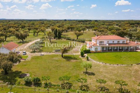 Farm i Mora, Evora, Mora - € 1.190.000 | Ref: 668-2 - foto 8
