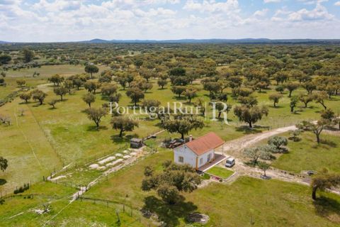 Farm i Mora, Evora, Mora - € 1.190.000 | Ref: 668-2 - foto 9