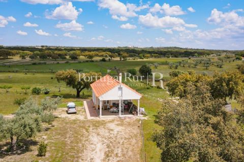 Farm i Mora, Evora, Mora - € 1.190.000 | Ref: 668-2 - foto 10