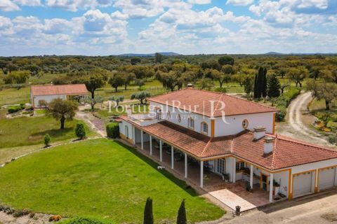 Farm i Mora, Evora, Mora - € 1.190.000 | Ref: 668-2 - foto 11