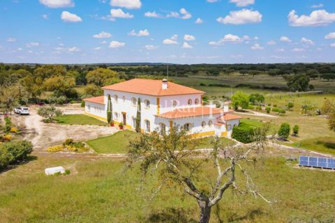 Farm i Mora, Evora, Mora - € 1.190.000 | Ref: 668-2 - foto 13