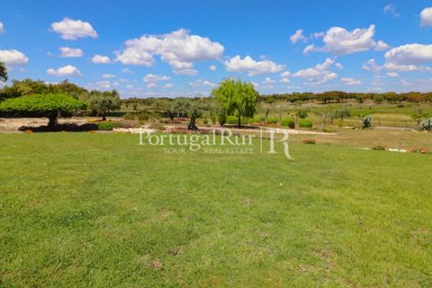 Farm i Mora, Evora, Mora - € 1.190.000 | Ref: 668-2 - foto 42