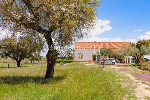 Farm i Mora, Evora, Mora - € 1.190.000 | Ref: 668-2 - foto 43