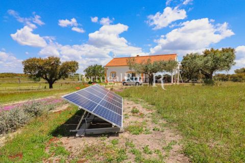 Farm i Mora, Evora, Mora - € 1.190.000 | Ref: 668-2 - foto 48