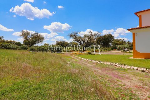 Farm i Mora, Evora, Mora - € 1.190.000 | Ref: 668-2 - foto 49