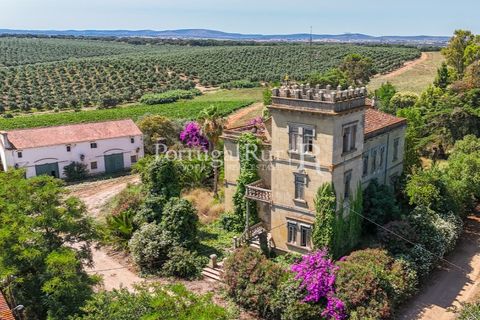 Farm i Sousel, Portalegre, Sousel - € 1.975.000 | Ref: FG921 - foto 2