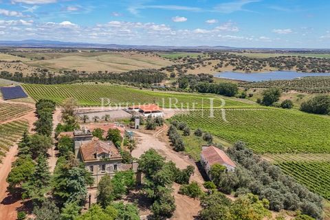 Farm i Sousel, Portalegre, Sousel - € 1.975.000 | Ref: FG921 - foto 3
