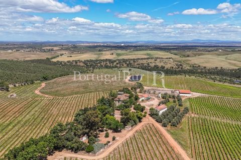 Farm i Sousel, Portalegre, Sousel - € 1.975.000 | Ref: FG921 - foto 4