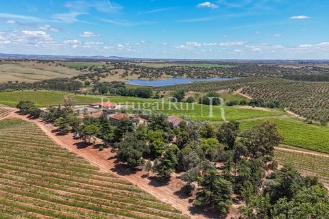 Farm i Sousel, Portalegre, Sousel - € 1.975.000 | Ref: FG921 - foto 5