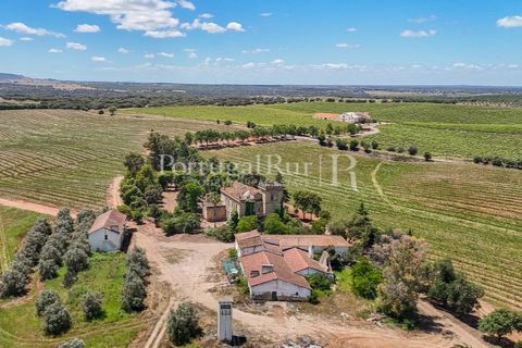 Farm i Sousel, Portalegre, Sousel - € 1.975.000 | Ref: FG921 - foto 7