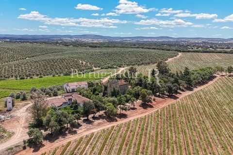 Farm i Sousel, Portalegre, Sousel - € 1.975.000 | Ref: FG921 - foto 8