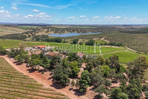Farm i Sousel, Portalegre, Sousel - € 1.975.000 | Ref: FG921 - foto 9