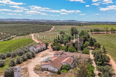 Farm i Sousel, Portalegre, Sousel - € 1.975.000 | Ref: FG921 - foto 10