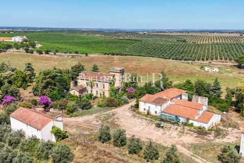 Farm i Sousel, Portalegre, Sousel - € 1.975.000 | Ref: FG921 - foto 11