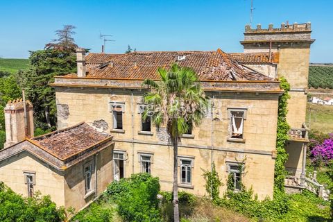 Farm i Sousel, Portalegre, Sousel - € 1.975.000 | Ref: FG921 - foto 12