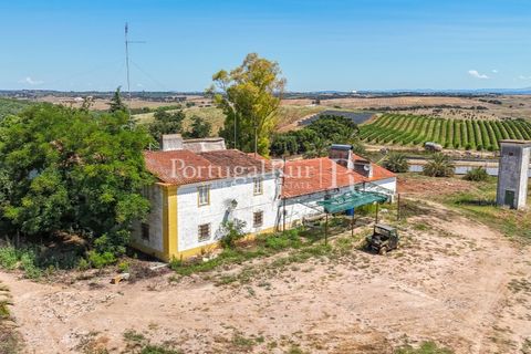 Farm i Sousel, Portalegre, Sousel - € 1.975.000 | Ref: FG921 - foto 14
