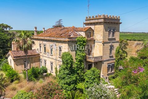 Farm i Sousel, Portalegre, Sousel - € 1.975.000 | Ref: FG921 - foto 15